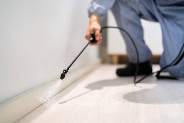 Licensed Cockroach Control service in Campbell, OH - Nex Pest Control