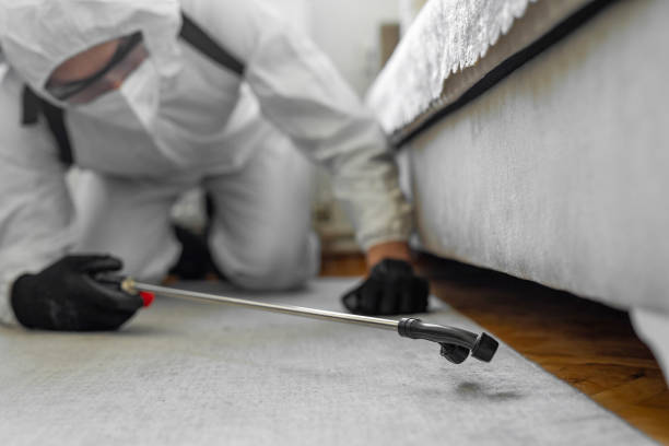 Professional Cockroach Control technician working in Campbell, OH