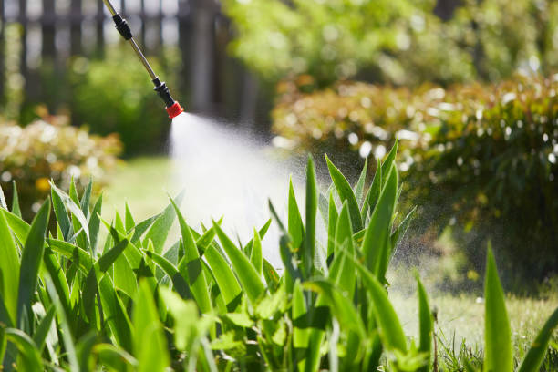 24/7 Emergency Cockroach Control experts in Campbell, OH