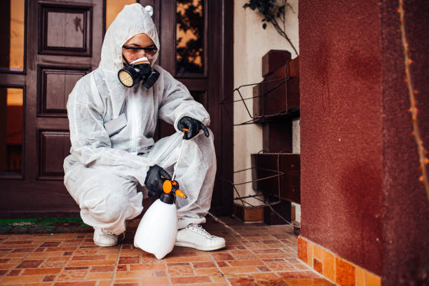 Reliable Cockroach Control contractor in Campbell, OH by Nex Pest Control