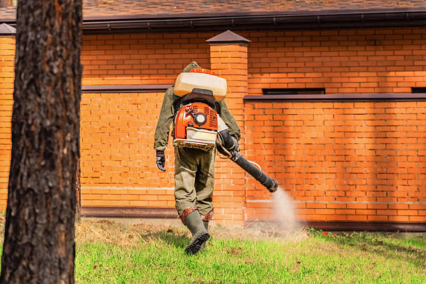 Top rated local Cockroach Control specialists in Campbell, OH